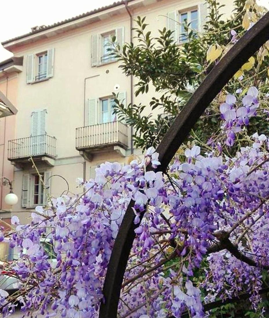 Casa Vacanze Stella Verbania Ngoại thất bức ảnh